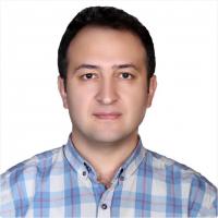 Mohammad Amani visiting professor Columbia University